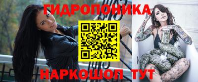 крисы Красноармейск