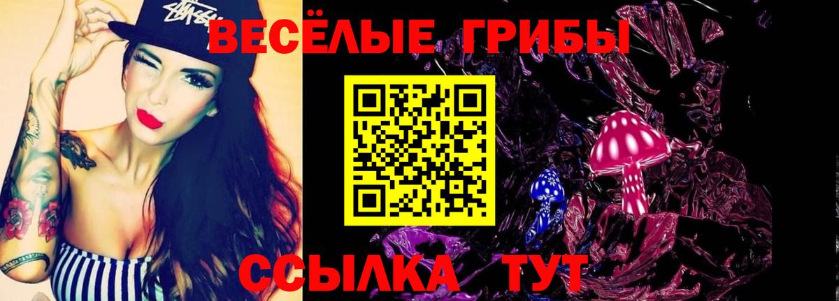 Псилоцибиновые грибы ЛСД  Вход с VPN  Гусиноозёрск 